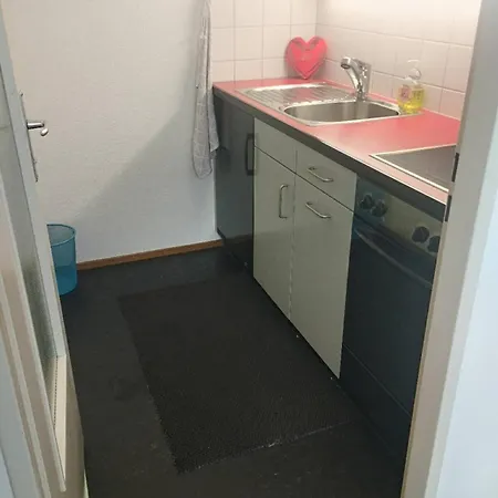 Bright Flat With Workspace Near Downton * Basilea